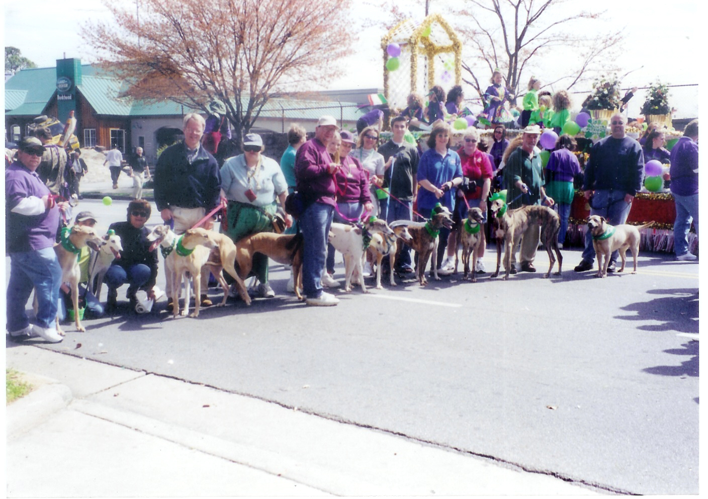 St Pat's Parade_generic