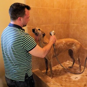 Dog shower_2C